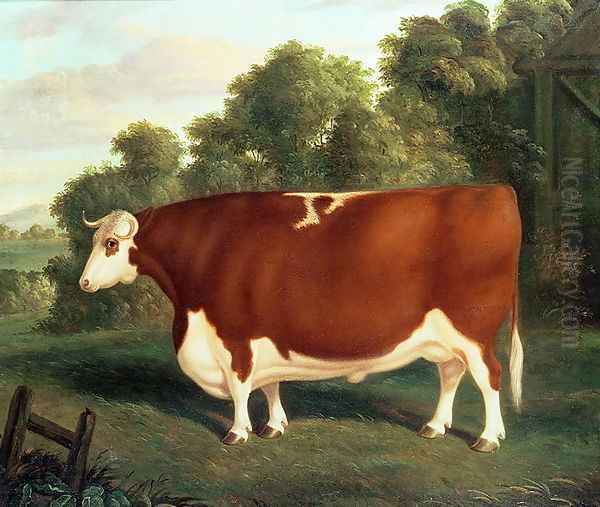 Ox, c.1850 Oil Painting by Thomas Roebuck