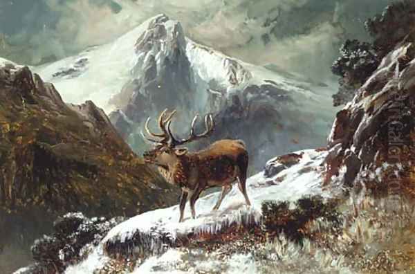 A stag in a midnight winter landscape Oil Painting by Clarence Roe