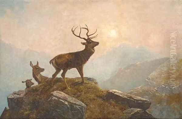 Stags in a Highland landscape 2 Oil Painting by Clarence Roe