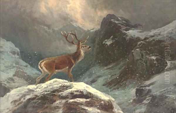 A stag in a highland winter landscape Oil Painting by Clarence Roe