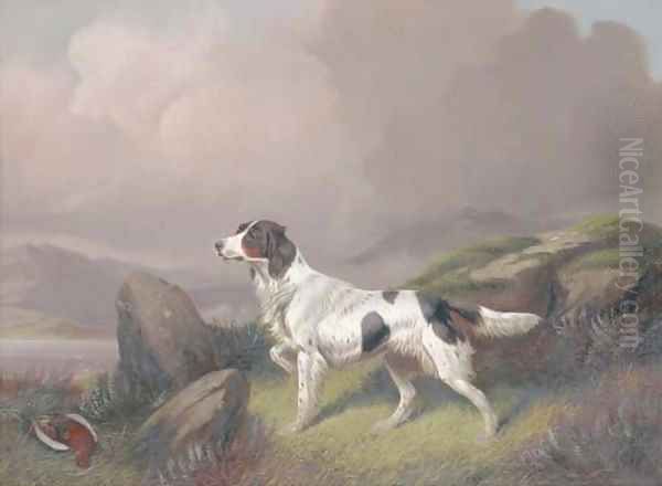 A setter in a moorland landscape Oil Painting by Colin Graeme Roe