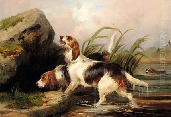 Otter hounds on the scent Oil Painting by Colin Graeme Roe