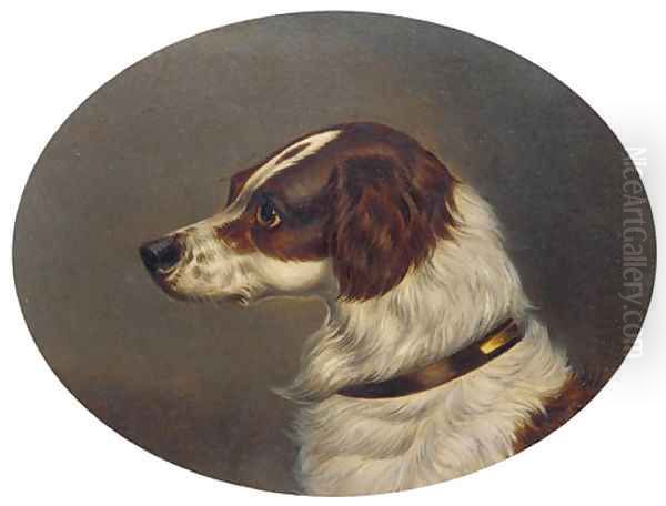 The head of a gundog Oil Painting by Colin Graeme Roe