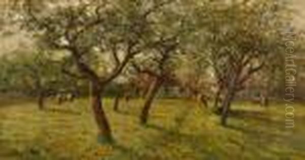 Cattle Grazing By The Cherry Blossom Oil Painting by Evert Pieters