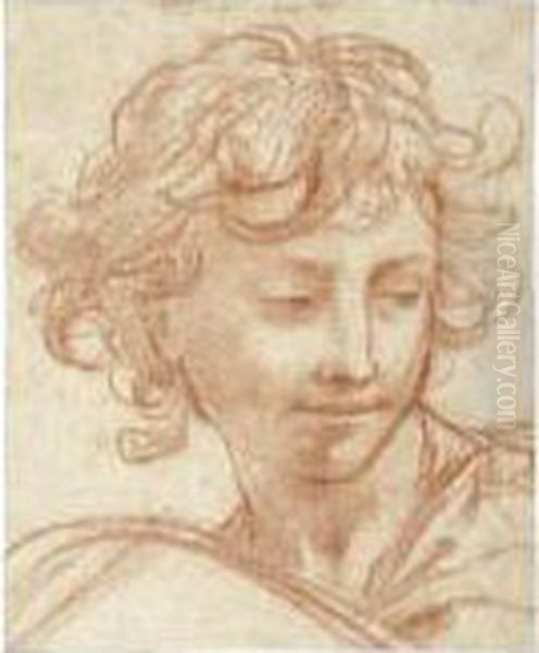 Study Of The Head Of A Youth Oil Painting by Pietro Da Cortona (Barrettini)