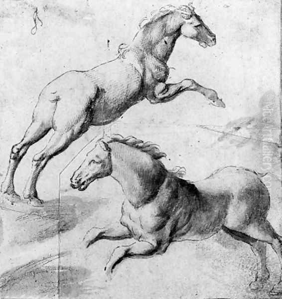 Study of two horses jumping Oil Painting by Giulio Pippi, Called Giulio Romano