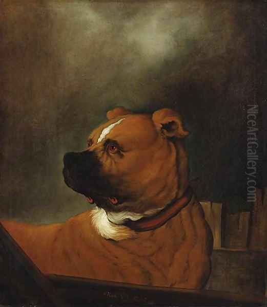 A mastiff standing in a stall Oil Painting by Johann Heinrich Roos