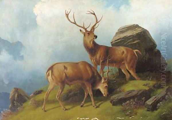 Stags on a mountain Oil Painting by Robert Henry Roe