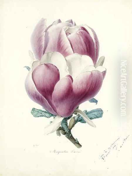 A Magnolia Flower Oil Painting by Alfred Riocreux