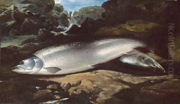 Salmon on a Rock by a River Oil Painting by Henry Leonidas Rolfe