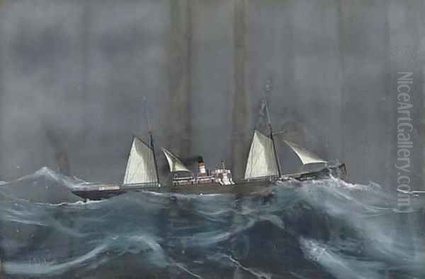 The Ravensdale in stormy seas Oil Painting by Luigi Roberto