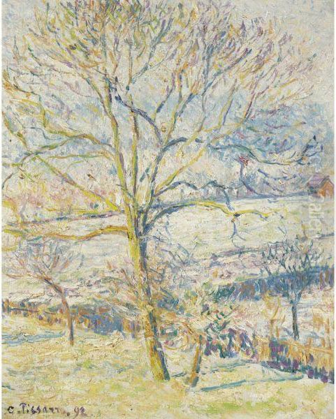 Le Grand Noyer, Gelee Blanche Eragny Oil Painting by Camille Pissarro