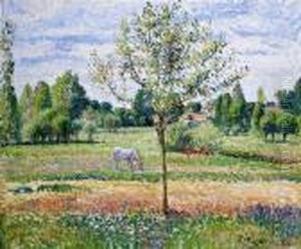 The Meadow With The Grey Horse, Eragny Oil Painting by Camille Pissarro