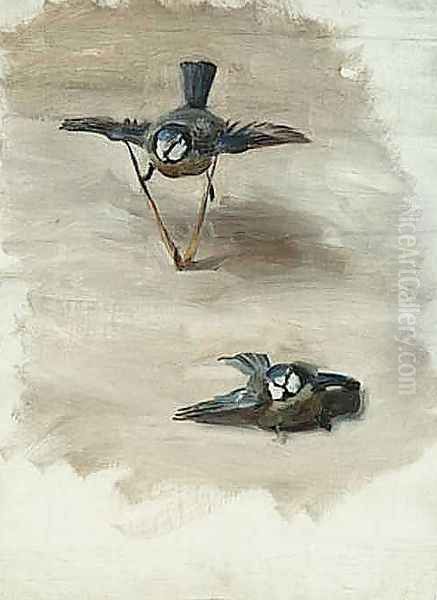 Study of a Dead Bird Oil Painting by John Singer Sargent