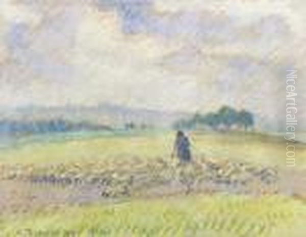 Berger Et Moutons, Eragny Oil Painting by Camille Pissarro