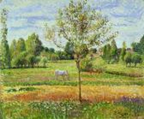 Le Pre Avec Chevalgris, Eragnyï¼ˆthe Meadow With The Grey Horse,eragnyï¼‰ Oil Painting by Camille Pissarro