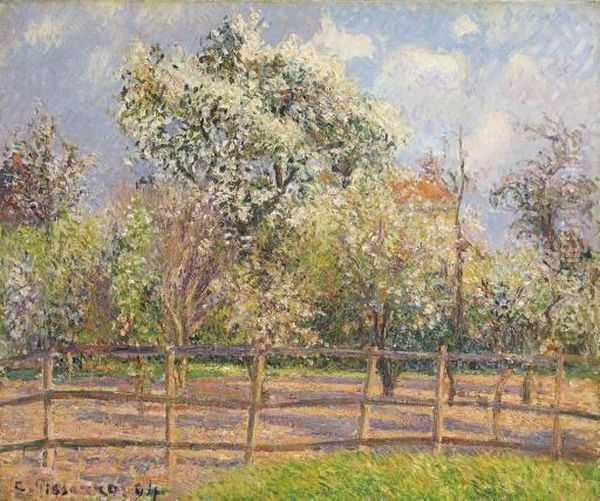 Poiriers En Fleur, Eragny Oil Painting by Camille Pissarro