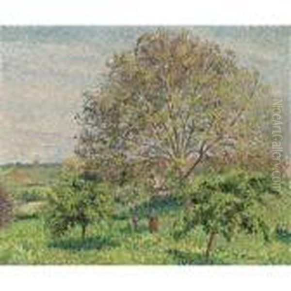 Le Grand Noyer Au Printemps, Eragny Oil Painting by Camille Pissarro