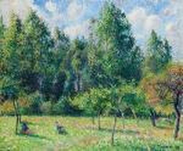 Les Peupliers, Matin, Eragny Oil Painting by Camille Pissarro