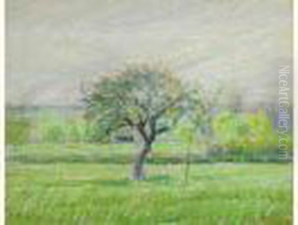 Arbre A Eragny Oil Painting by Camille Pissarro