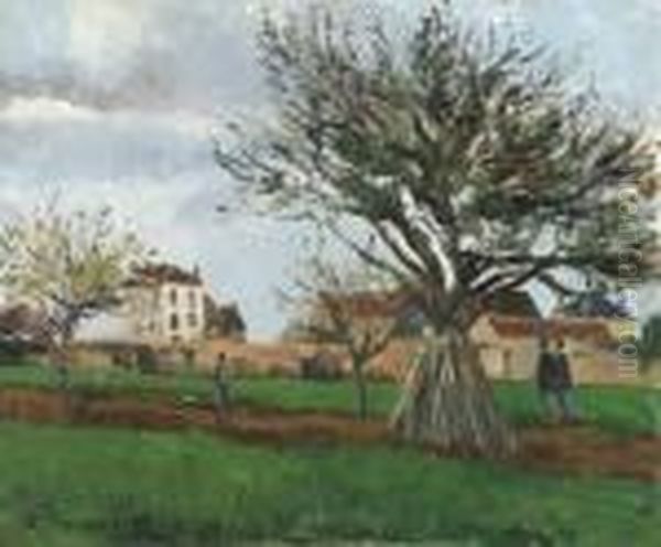 Pommiers Pontoise (la Maison Du Pre Gallien) Oil Painting by Camille Pissarro