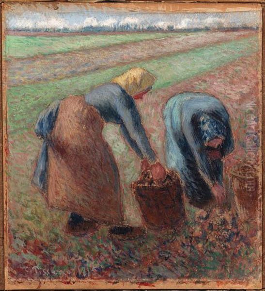 La Rcolte Des Pommes De Terre Oil Painting by Camille Pissarro