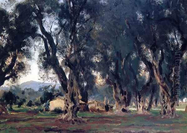 Olive Trees at Corfu Oil Painting by John Singer Sargent