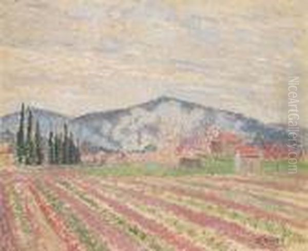 Cypress And Vines Le Lavandou Oil Painting by Lucien Pissarro