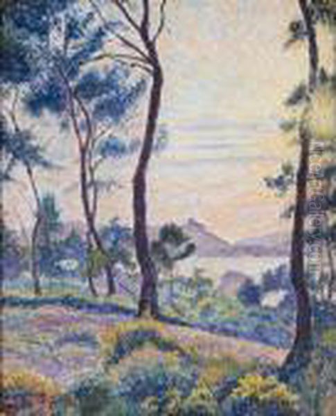 Soleil Couchant Dans Les Pins, Le Brusq Oil Painting by Lucien Pissarro