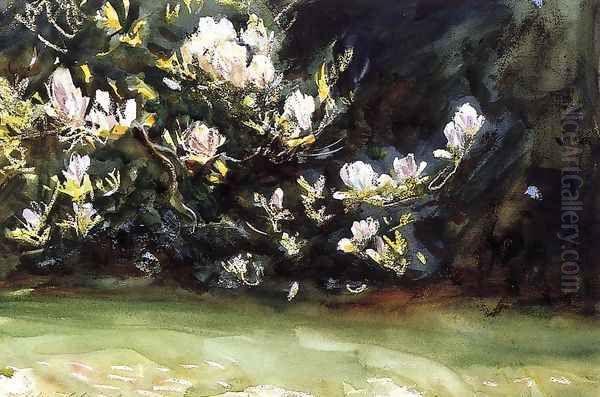 Magnolias Oil Painting by John Singer Sargent