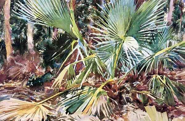 Palmettos, Florida Oil Painting by John Singer Sargent