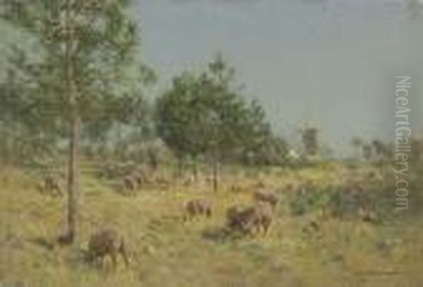 Grazing Sheep Oil Painting by Ivan Pavlovich Pokhitonov