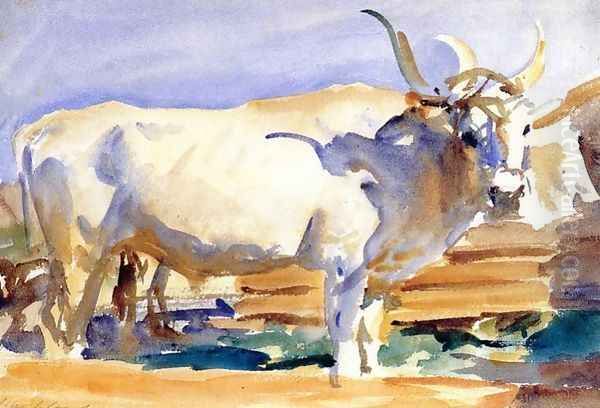 White Ox at Siena Oil Painting by John Singer Sargent