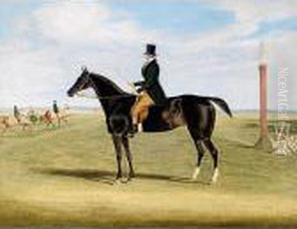 The Training Ground At Newmarket Oil Painting by James Pollard