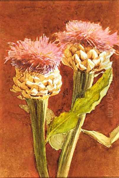 Thistle Oil Painting by John Singer Sargent