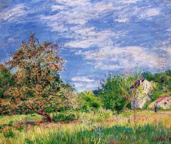 Orchard in Spring I Oil Painting by Alfred Sisley