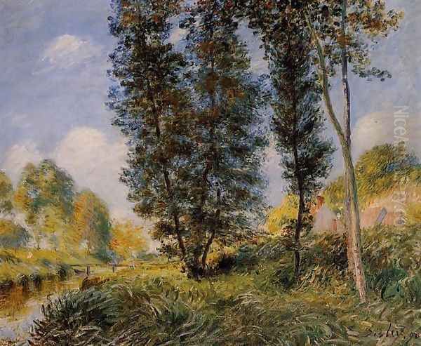 Banks of the Orvanne Oil Painting by Alfred Sisley