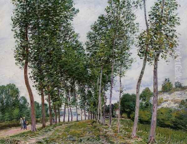 Lane of Poplars on the Banks of the Loing Oil Painting by Alfred Sisley