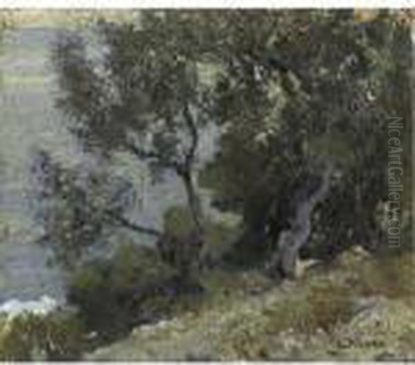 Ulivi Sul Mare A Capri Oil Painting by Attilio Pratella