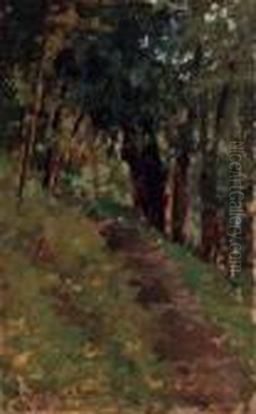 Viottolo Nel Bosco Oil Painting by Attilio Pratella