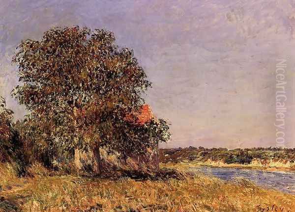 The Plain of Thomery and the Village of Champagne Oil Painting by Alfred Sisley