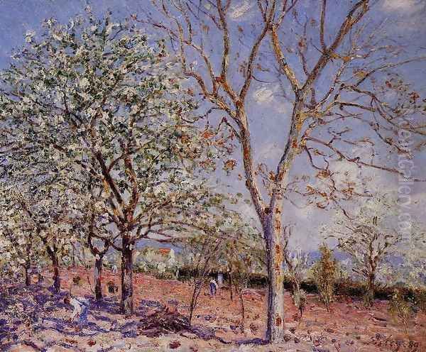 Plum and Walnut Trees in Spring Oil Painting by Alfred Sisley