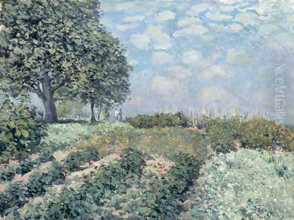 The Market Gardens, 1874 Oil Painting by Alfred Sisley