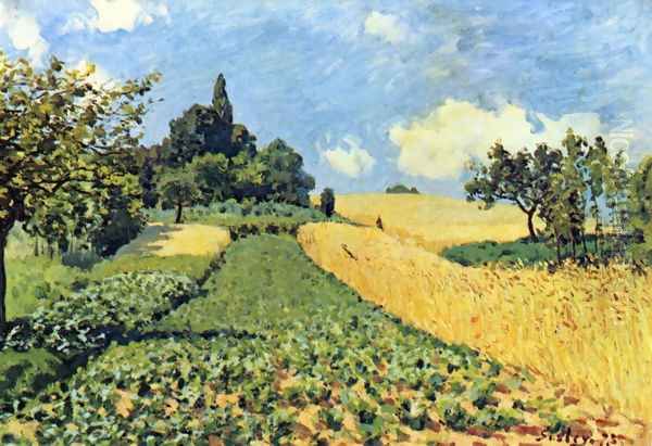 Getreidefelder auf den Hügeln von Argenteuil Oil Painting by Alfred Sisley