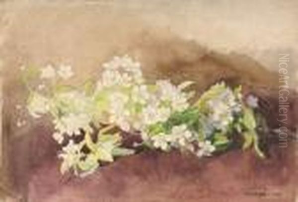 Etude De Seringa En Fleurs Oil Painting by Ernest Quost