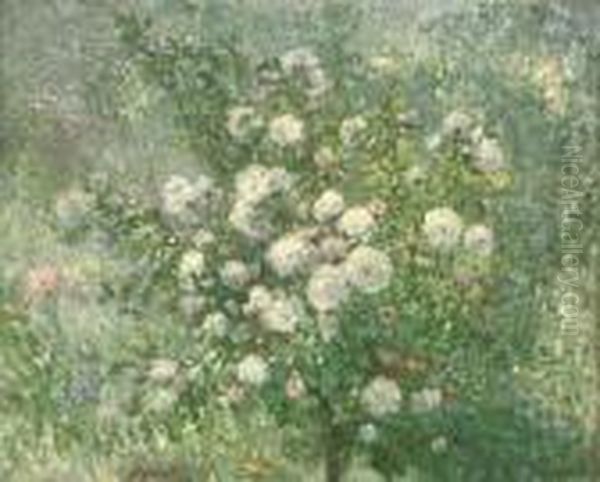 A White Rose Bush Oil Painting by Ernest Quost