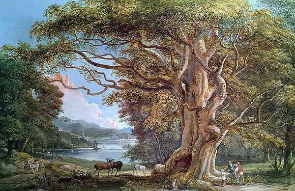 An Ancient Beech Tree, 1794 Oil Painting by Paul Sandby