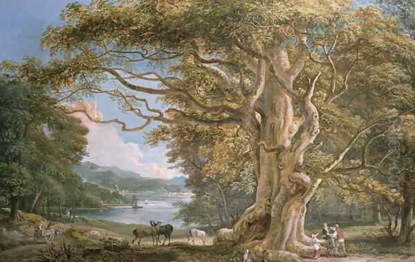 Ancient Beech Tree Oil Painting by Paul Sandby