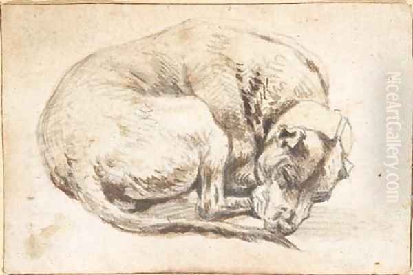 A sleeping dog Oil Painting by Cornelis Saftleven