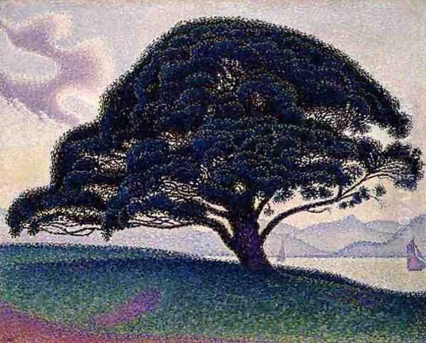 The Bonaventure Pine, 1893 Oil Painting by Paul Signac